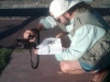 2012-06-04_mexico_10