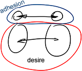 Desire And Adhesion